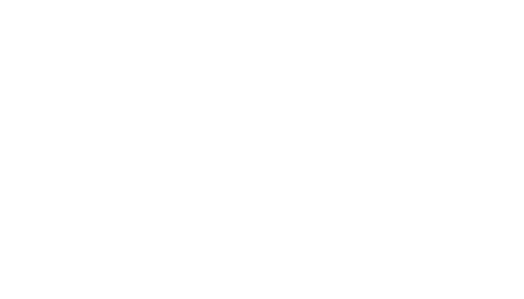 logo RS transparent